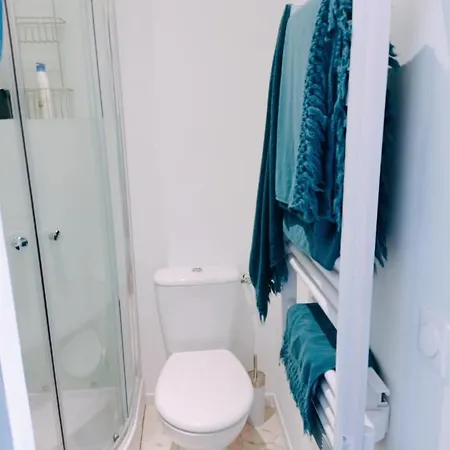 Irziana - Au Jardin D'henriville 3* Αμιάν