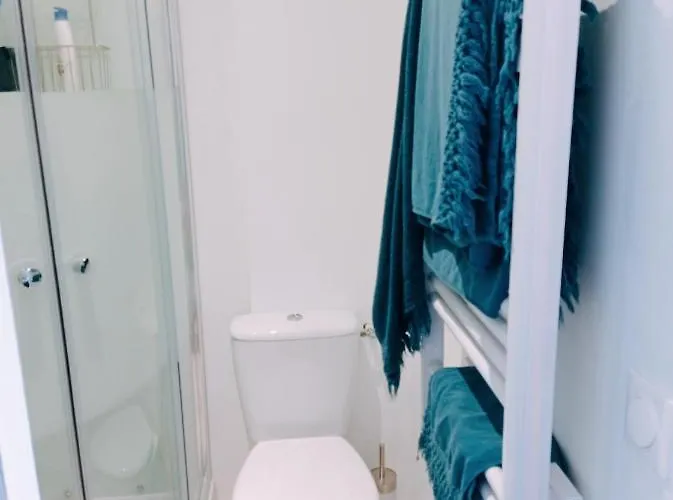 Irziana - Au Jardin D'henriville 3* Amiens